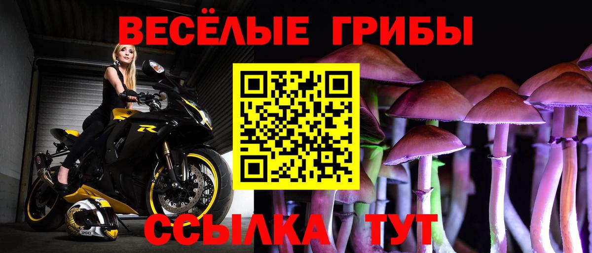 Галлюциногенные грибы прущие грибы Аксай
